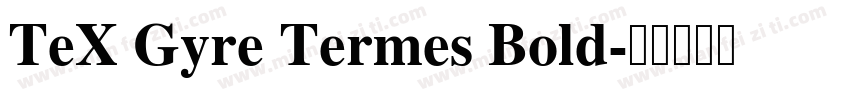 TeX Gyre Termes Bold字体转换